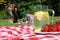 Lemonade and dog picnic