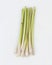 Lemongrass Cymbopogon citratus is a member of the grass tribe that is used as a kitchen spice to scent food.