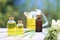 Lemongrass essential oil in glass bottles on natural green background