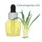Lemongrass essential oil vector illustration Aromatherapy