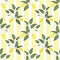 Lemons citrus seamless pattern lemony leaves on striped
