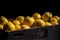 Lemons on a dark background. The lemons are arranged in a natural way, giving them an authentic look.