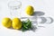 Lemons, fresh green mint and a glass glass with water on a white background