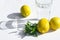 Lemons, fresh green mint and a glass glass with water on a white background