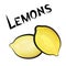 Lemons isolated. Lemon fruit set. Hand drawn watercolor set. Vec