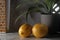 Lemons Kitchen Counter