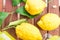 Lemons with leaves , lemonade or limoncello in a glass bottle, glasse, on a wooden table.