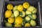 Lemons on Market Stall; Palma; Majorca