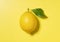 Lemons placed on a yellow background