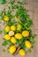 Lemons with salad knife and yellow straw on a canvas