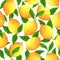 Lemons seamless watercolor pattern. Branch with fresh garden citruses, leaves on white background. Ripe tropical fruits