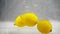 Lemons slowly fall to the bottom of the water tank,and then float. Yellow fruits on isolated white background.