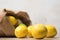 Lemons studio image. Bag of lemons and lime. Fabric bag with lemons.