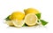 Lemons tree flower and a lemons