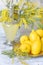 Lemons, yellow spring mimosa flowers and a decanter of lemon drink. Spring fresh still life.