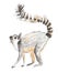 Lemur drawn in oil crayons