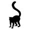 Lemur silhouette. Black white icon. Vector illustration.