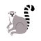 Lemur. Vector illustration of an animal. Flat style