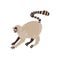 Lemur Wild Exotic African Animal Vector Illustration