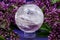 Lemurian Clear Quartz Sphere crystal magical orb surrounded by purple lilac flower.