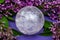 Lemurian Clear Quartz Sphere crystal magical orb surrounded by purple lilac flower.
