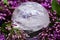 Lemurian Clear Quartz Sphere crystal magical orb surrounded by purple lilac flower.