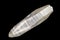 Lemurian Seed Quartz Point