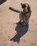 Lemurs eating carrot in Athens in Greece