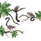 Lemurs family sitting on branches with tropical leaves scene watercolor illustration. Realistic jungle animal monkeys