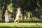 Length view of young girl in white dress smiling and looking at jumping golden retriever on meadow