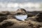 Lens ball on the beach with closed up view