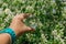 Lens ball in hand with reflection of blooming apple tree