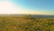 LENS FLARE: Athletic male pedals his mountain bicycle up a big grassy hill.