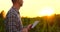 Lens flare: Farmer using digital tablet computer in cultivated soybean crops field, modern technology application in