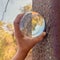 LENSBALL AUTUMN BRIDGE