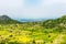 Lentil fields on the island of Lefkada (Greece)