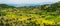 Lentil fields on the island of Lefkada (Greece)