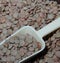 Lentils large green placer close-up with yellow dustpan