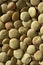 Lentils macro crop texture in brown color