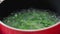 Lentils Pieces In Boiling Water In Red Pot.