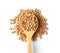 Lentils in wood spoon on white background