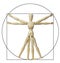 Leonardo Da Vinci\'s Vitruvian