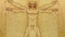 Leonardo da Vinci Vitruvian Man close up photo. Dolly shot. Close up. Book flip background animation