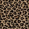 Leopard abstract texture,design seamless pattern skin