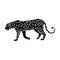 Leopard.African safari single icon in black style vector symbol stock illustration web.