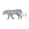 Leopard.African safari single icon in monochrome style vector symbol stock illustration web.