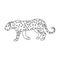 Leopard.African safari single icon in outline style vector symbol stock illustration web.