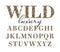 Leopard Alphabet Wild Luxury Letters Animal Print Font Wildcat spots Monogram ABC