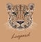 Leopard animal face. Vector African, Asian wild cat head portrait. Realistic fur portrait of exotic leopard isolated on beige