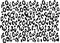 Leopard Animal SVG with jpeg  Cut File Leopard Svg Digital Download file